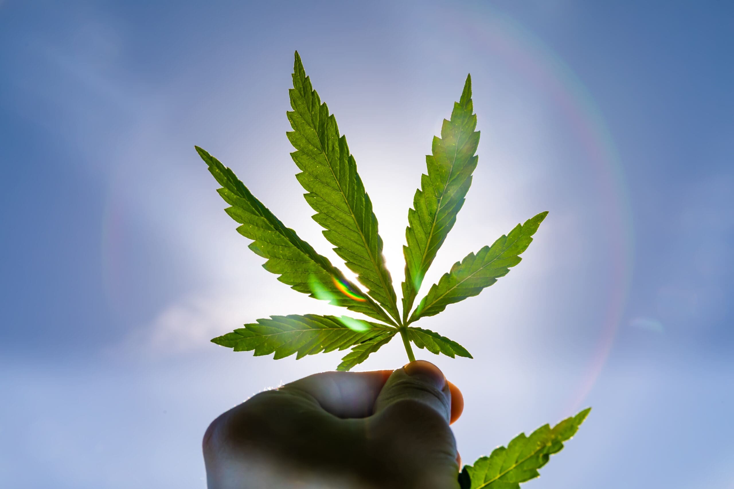 cannabis potency, THC levels, lab testing, terpene profiles, dosing guide